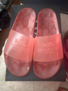 Coach Coral Glitter Slide Sandals